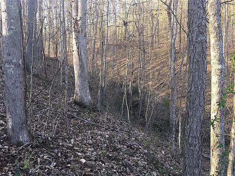 56184 Log Pile Rd, Ray, OH 45672 photo 26