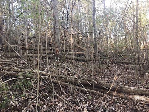56184 Log Pile Rd, Ray, OH 45672 photo 15