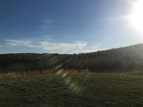 56184 Log Pile Rd, Ray, OH 45672 photo 28