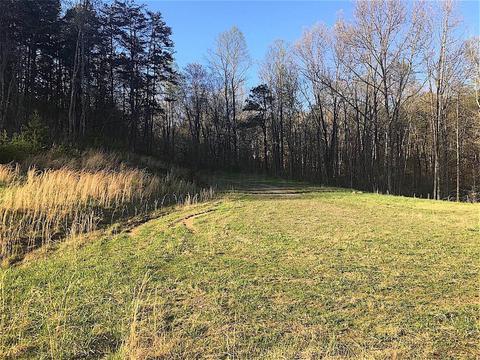 56184 Log Pile Rd, Ray, OH 45672 photo 33