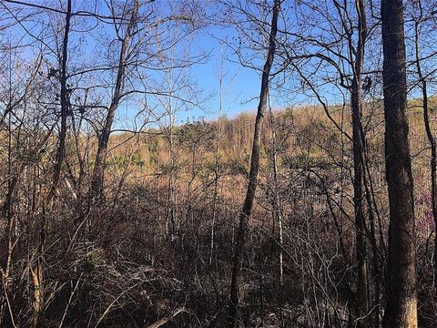 56184 Log Pile Rd, Ray, OH 45672 photo 27