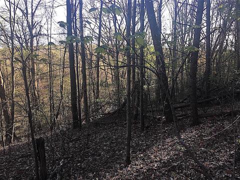 56184 Log Pile Rd, Ray, OH 45672 photo 14