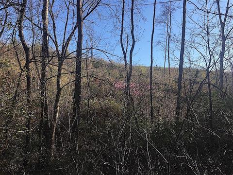 56184 Log Pile Rd, Ray, OH 45672 photo 21