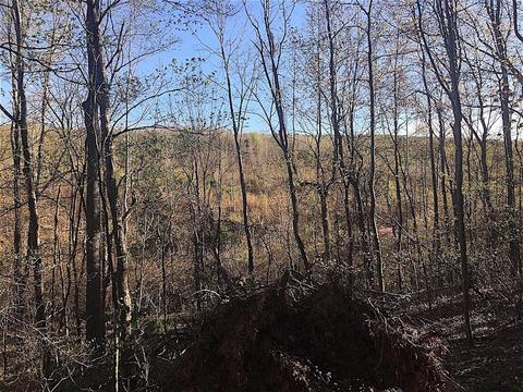 56184 Log Pile Rd, Ray, OH 45672 photo 16