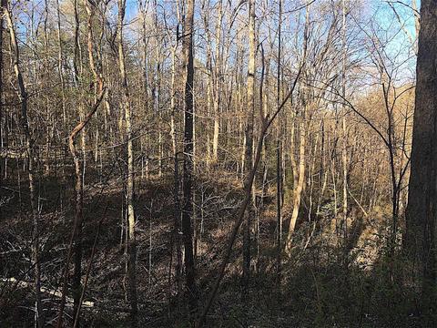 56184 Log Pile Rd, Ray, OH 45672 photo 12