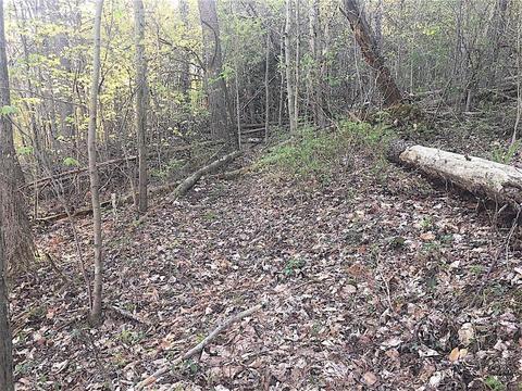 56184 Log Pile Rd, Ray, OH 45672 photo 13