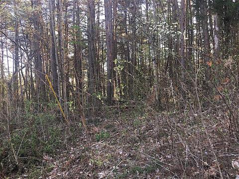 56184 Log Pile Rd, Ray, OH 45672 photo 10