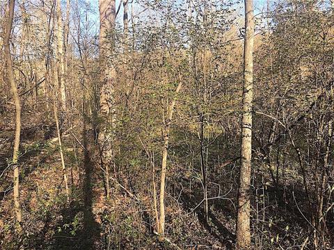 56184 Log Pile Rd, Ray, OH 45672 photo 20