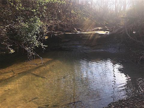 56184 Log Pile Rd, Ray, OH 45672 photo 23