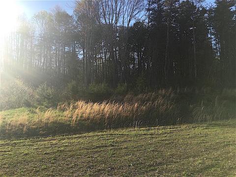 56184 Log Pile Rd, Ray, OH 45672 photo 31