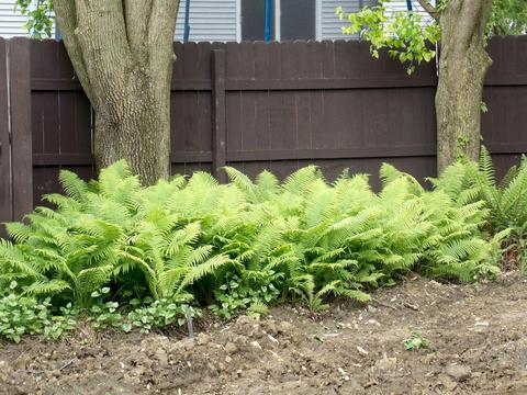 7414 Silverleaf Ct, Columbus, OH 43235 photo 63