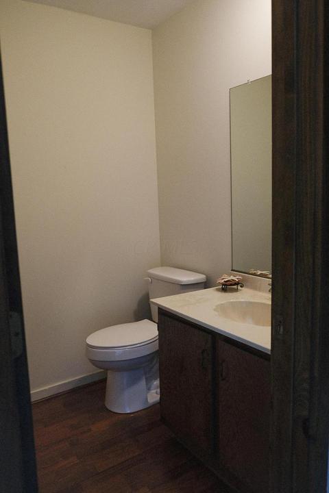 318 Old Spring Ct, Dublin, OH 43017 photo 11