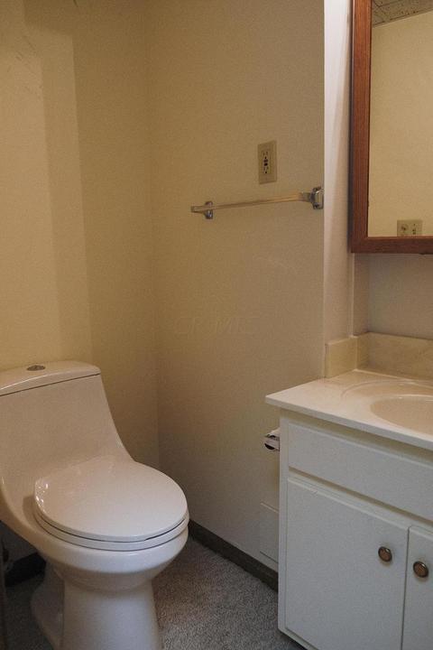318 Old Spring Ct, Dublin, OH 43017 photo 26