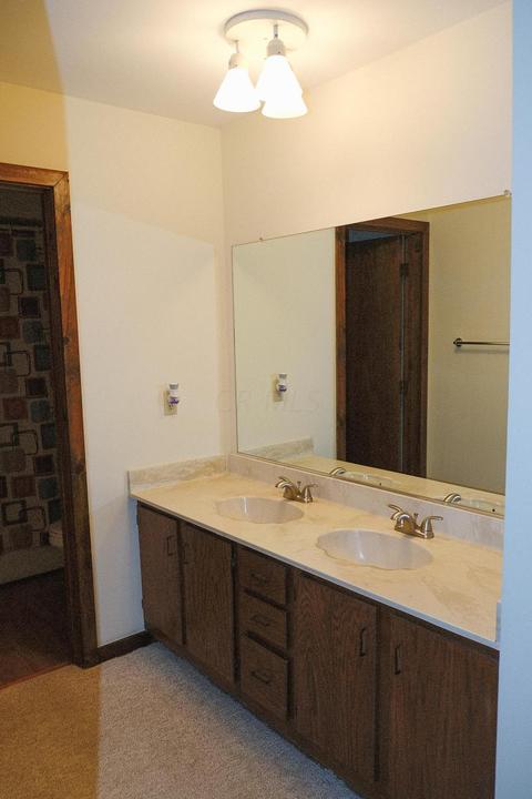 318 Old Spring Ct, Dublin, OH 43017 photo 19