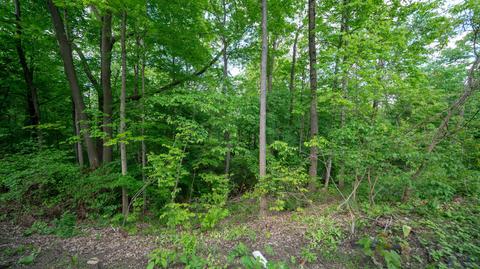 2884 Timber Range Ct, Columbus, OH 43231 photo 21