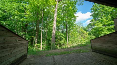 2884 Timber Range Ct, Columbus, OH 43231 photo 19