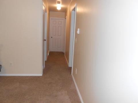 6371 Putnam Dr, Circleville, OH 43113 photo 10