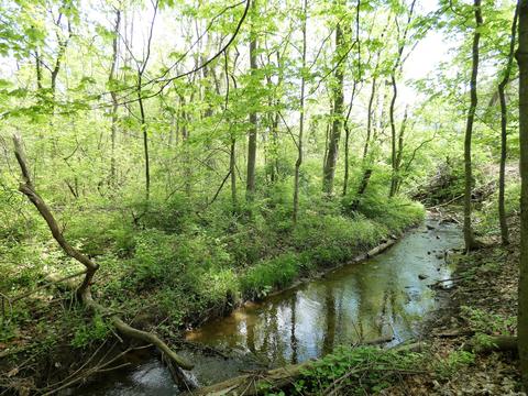 8751 Springflower Rd, Pickerington, OH 43147 photo 5