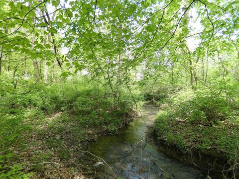 8751 Springflower Rd, Pickerington, OH 43147 photo 43