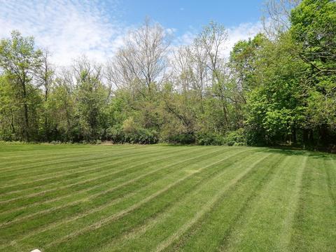 8751 Springflower Rd, Pickerington, OH 43147 photo 4