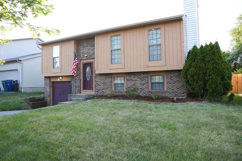 1720 Durango Ct, Powell, OH 43065 photo 2