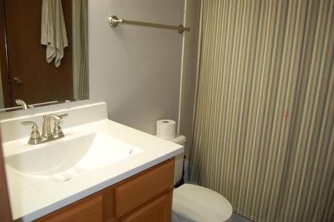 1720 Durango Ct, Powell, OH 43065 photo 16