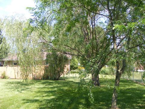 3675 Folk Ream Rd, Springfield, OH 45502 photo 3