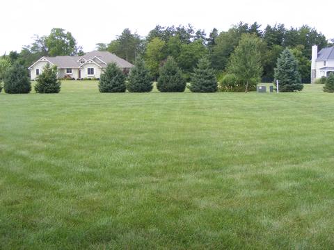4233 Curve Rd, Delaware, OH 43015 photo 46