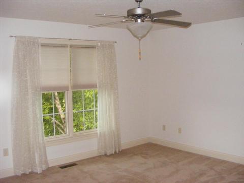 4233 Curve Rd, Delaware, OH 43015 photo 37