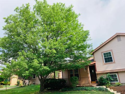 1960 Wolverhampton Rd, Powell, OH 43065 photo 30