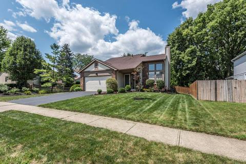 4008 Killary Dr, Dublin, OH 43016 photo 3