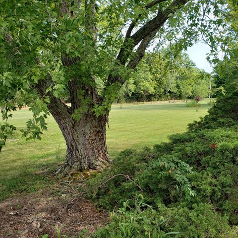 24380 Sisk Rd, Circleville, OH 43113 photo 10