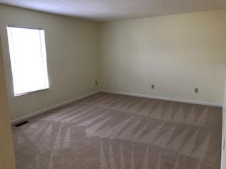 8608 Libra Rd, Dublin, OH 43016 photo 13