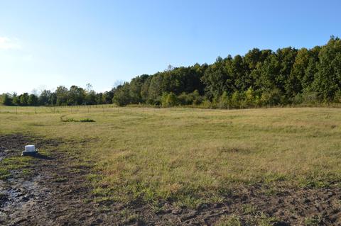 26321 Jackson Rd, Circleville, OH 43113 photo 28