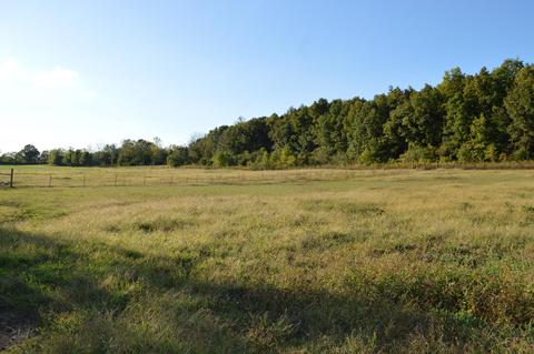 26321 Jackson Rd, Circleville, OH 43113 photo 22