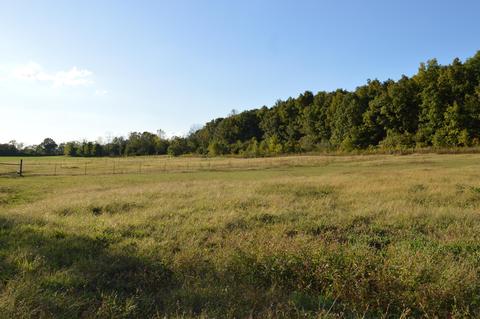 26321 Jackson Rd, Circleville, OH 43113 photo 26