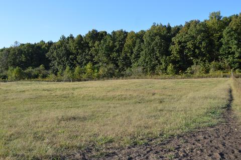 26321 Jackson Rd, Circleville, OH 43113 photo 30