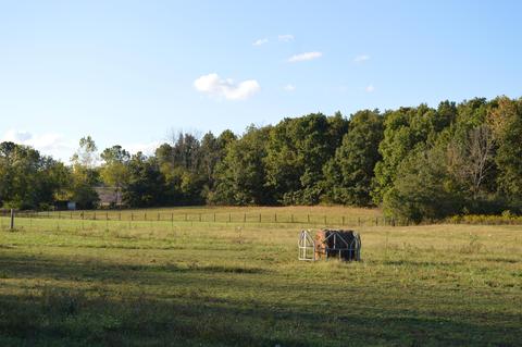 26321 Jackson Rd, Circleville, OH 43113 photo 39
