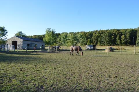 26321 Jackson Rd, Circleville, OH 43113 photo 19