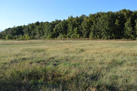 26321 Jackson Rd, Circleville, OH 43113 photo 25