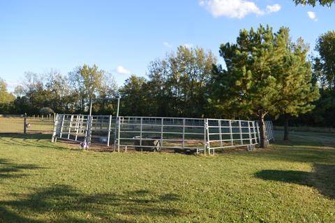 26321 Jackson Rd, Circleville, OH 43113 photo 17