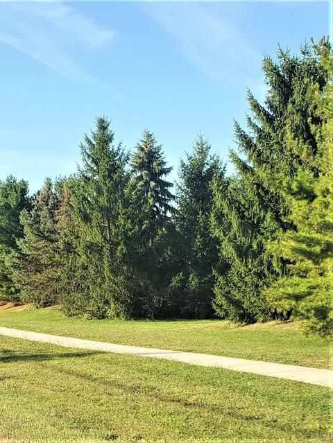 252 Stonemast Loop, Pataskala, OH 43062 photo 36