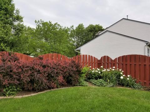252 Stonemast Loop, Pataskala, OH 43062 photo 30