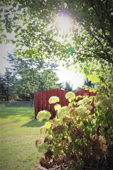 252 Stonemast Loop, Pataskala, OH 43062 photo 37