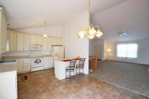111 Castleton Ct, Pataskala, OH 43062 photo 10