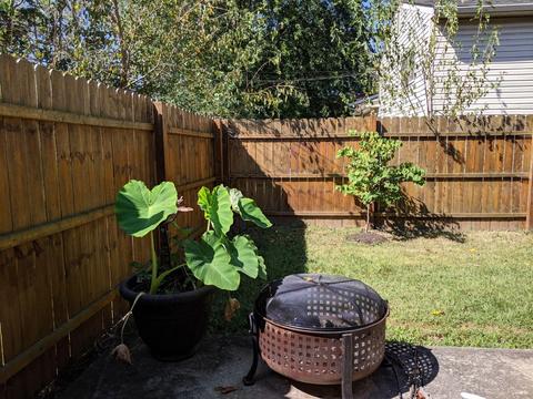 205 Lonepine Rd, Delaware, OH 43015 photo 13