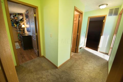 202 Brenden Loop, Delaware, OH 43015 photo 19
