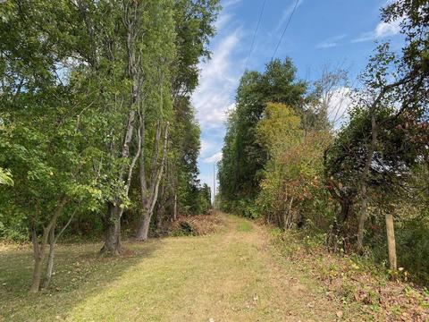 10936 Dennis Rd, Lockbourne, OH 43137 photo 4