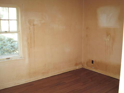 895 Ruby Ave, Columbus, OH 43227 photo 8