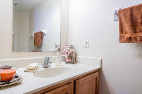 208 Emerald Ice Loop, Delaware, OH 43015 photo 68